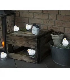 5 Oiseaux Lumineux A Led<Konstsmide, guirlandes lumineuses de Noël Online