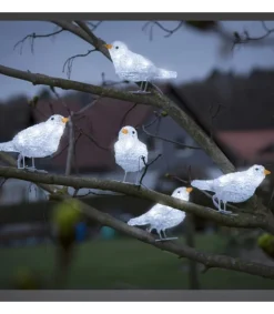 5 Oiseaux Lumineux A Led<Konstsmide, guirlandes lumineuses de Noël Online