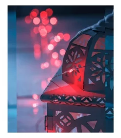 Guirlande Lumineuse Avec Changement De Couleur, 50 Diodes Led<Konstsmide, guirlandes lumineuses de Noël Cheap