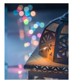 Guirlande Lumineuse Avec Changement De Couleur, 50 Diodes Led<Konstsmide, guirlandes lumineuses de Noël Cheap