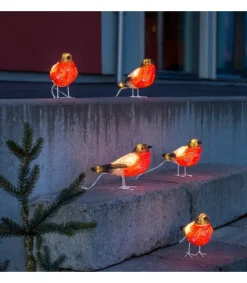 Oiseaux Lumineux Led, 5 Rouge-Gorge<Konstsmide, guirlandes lumineuses de Noël New
